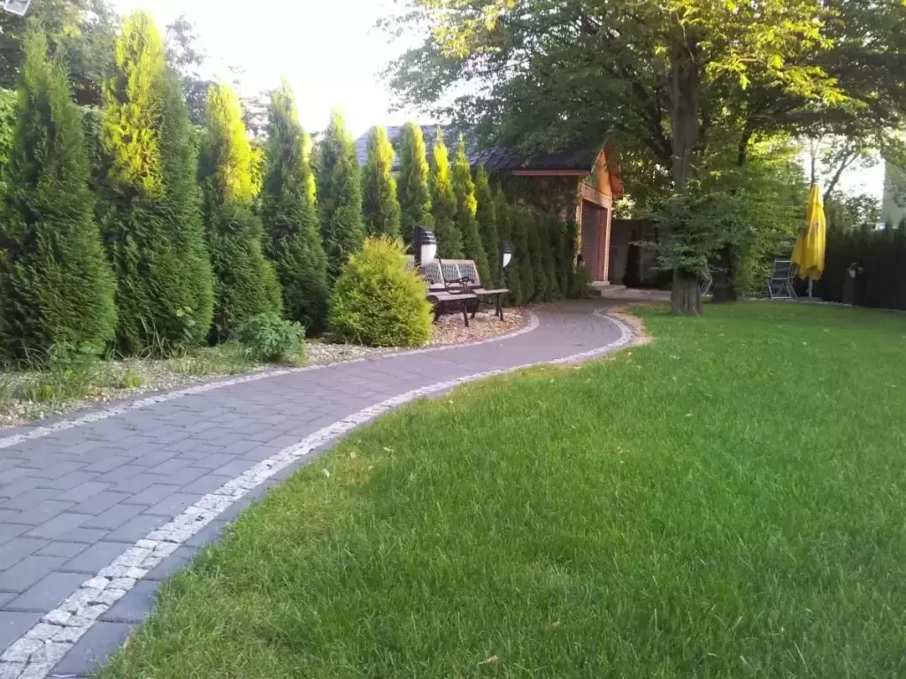 Zdjęcie 3